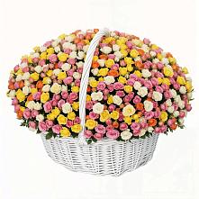 Премиум букет из: Розы в Ферзиково