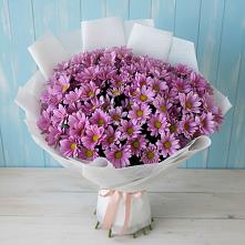 Букет цветов из:  Хризантемы в Ферзиково