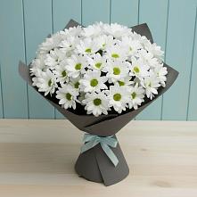 Букет цветов из:  Хризантемы #REPLACE_PRED# Ферзиково