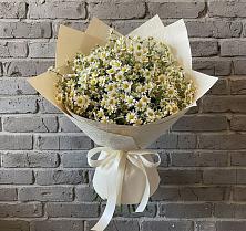 Букет цветов из:  Ромашки #REPLACE_PRED# Ферзиково