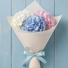 Букет цветов из:  Гортензия в Ферзиково