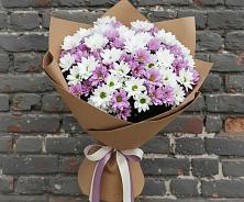 Букет цветов из:  Хризантемы #REPLACE_PRED# Ферзиково