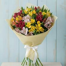 Букет цветов из:  Альстромерии в Ферзиково