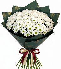 Букет цветов из:  Хризантемы #REPLACE_PRED# Ферзиково