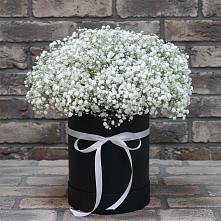 Цветочная композиция из Гипсофила в шляпной коробке в Ферзиково