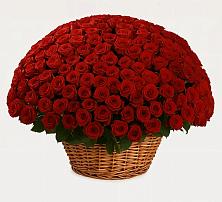 Премиум букет из: Розы в Ферзиково