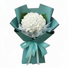 Букет цветов из:  Гортензия в Ферзиково